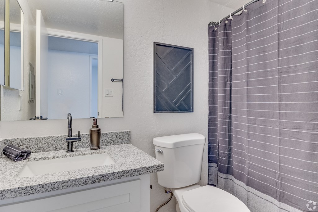 a bathroom with a toilet and a sink and a shower