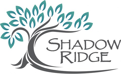 a tree with the shadow logo