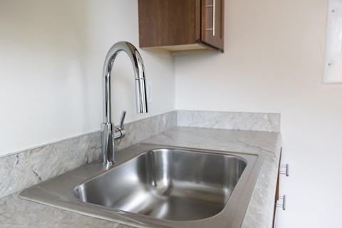 A stainless steel kitchen sink with a chrome faucet.