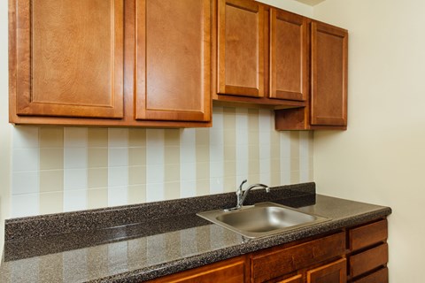 a kitchen with a sink and wooden cabinets