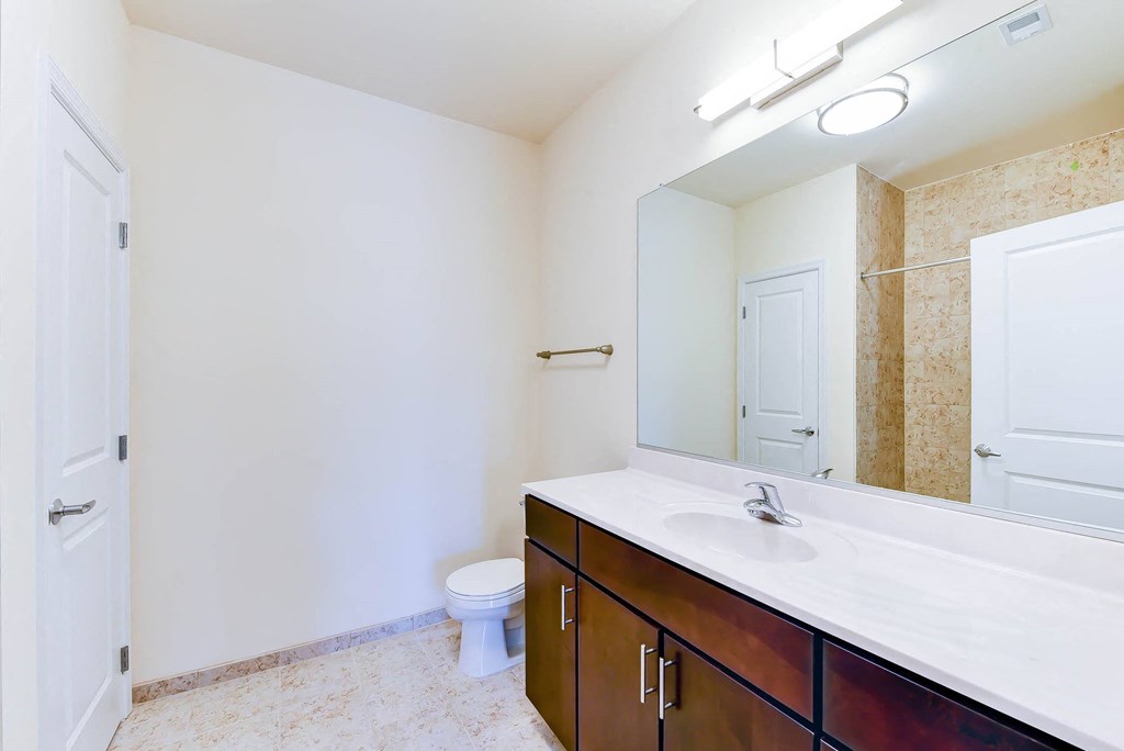 bathroom with vanity, toilet, tub and large mirror at archer park apartments in washington dc