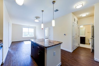 kitchen with island, stainless steel appliances, view of living area and hardwood flooring at archer park apartments in southeast Washington dc - Photo Gallery 4