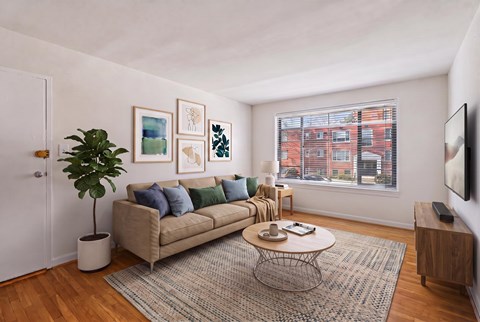 A living room with a couch, a plant, a coffee table, and a television.