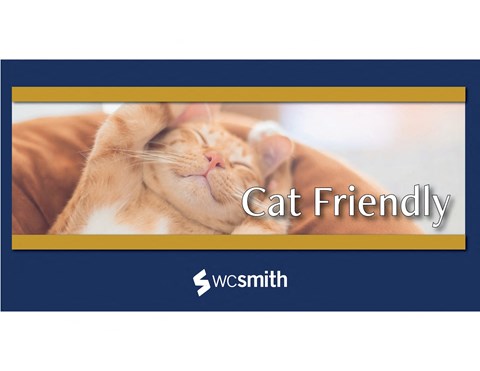 a cat laying in a bed with the word cat friendly