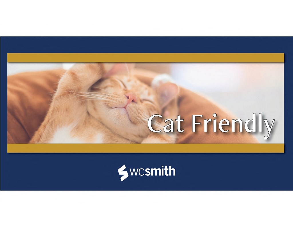 a cat laying in a bed with the word cat friendly