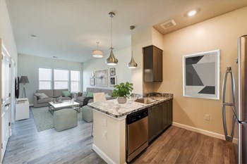 kitchen with stainless steel appliances, and view of living area with large windows at at city view apartments in washington dc - Photo Gallery 2