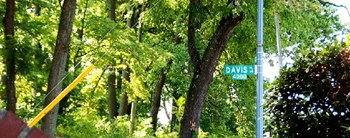 view of davis place in glover park washington dc - Photo Gallery 16