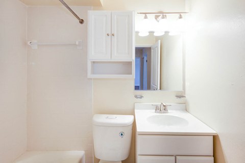 bathroom at naylor overlook apartments in skyland washington dc