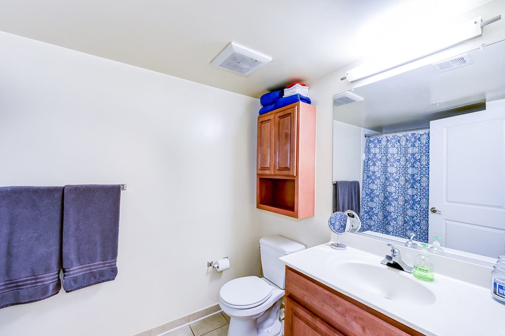bathroom with vanity, large mirror, medicine cabinet, and toilet at park vista apartments in washington dc