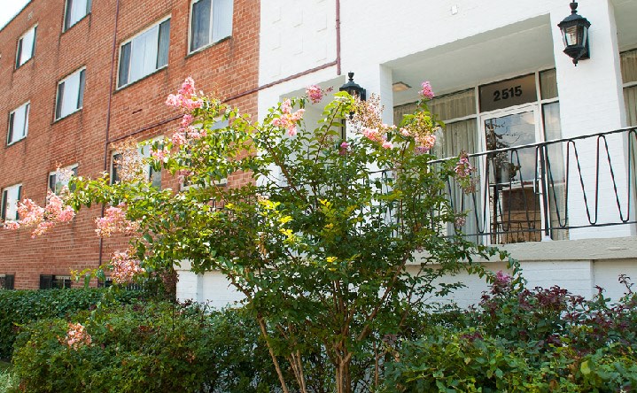 exterior of penn view apartment building with lush landscaping