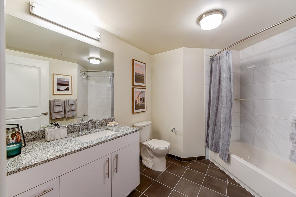 Crest-at-skyland-town-center-bathroom