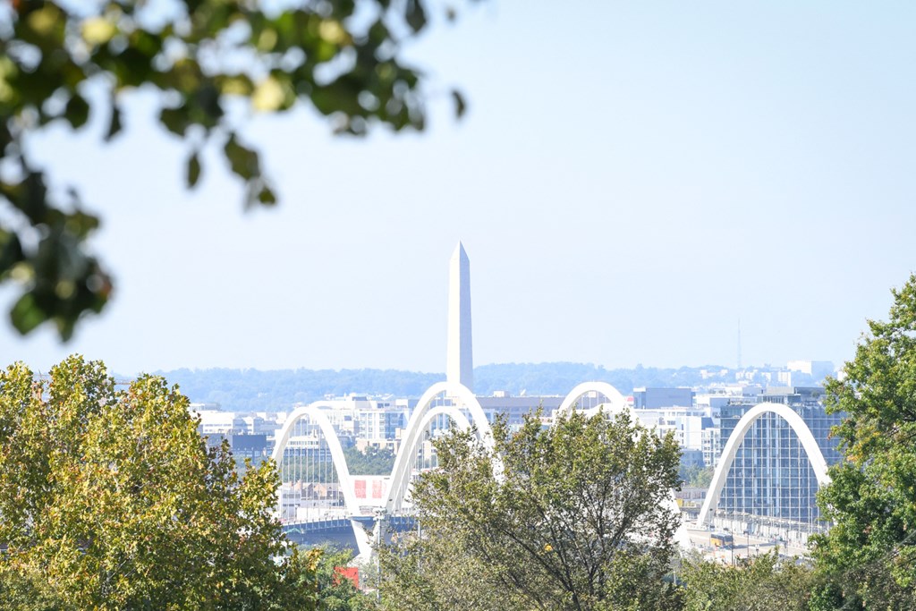 view of frederick douglass memorial bridge