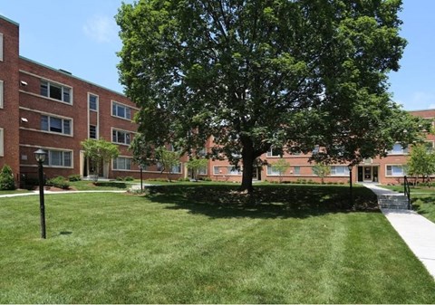 A tree in a grassy area in front of an apartment building in bethesda, md