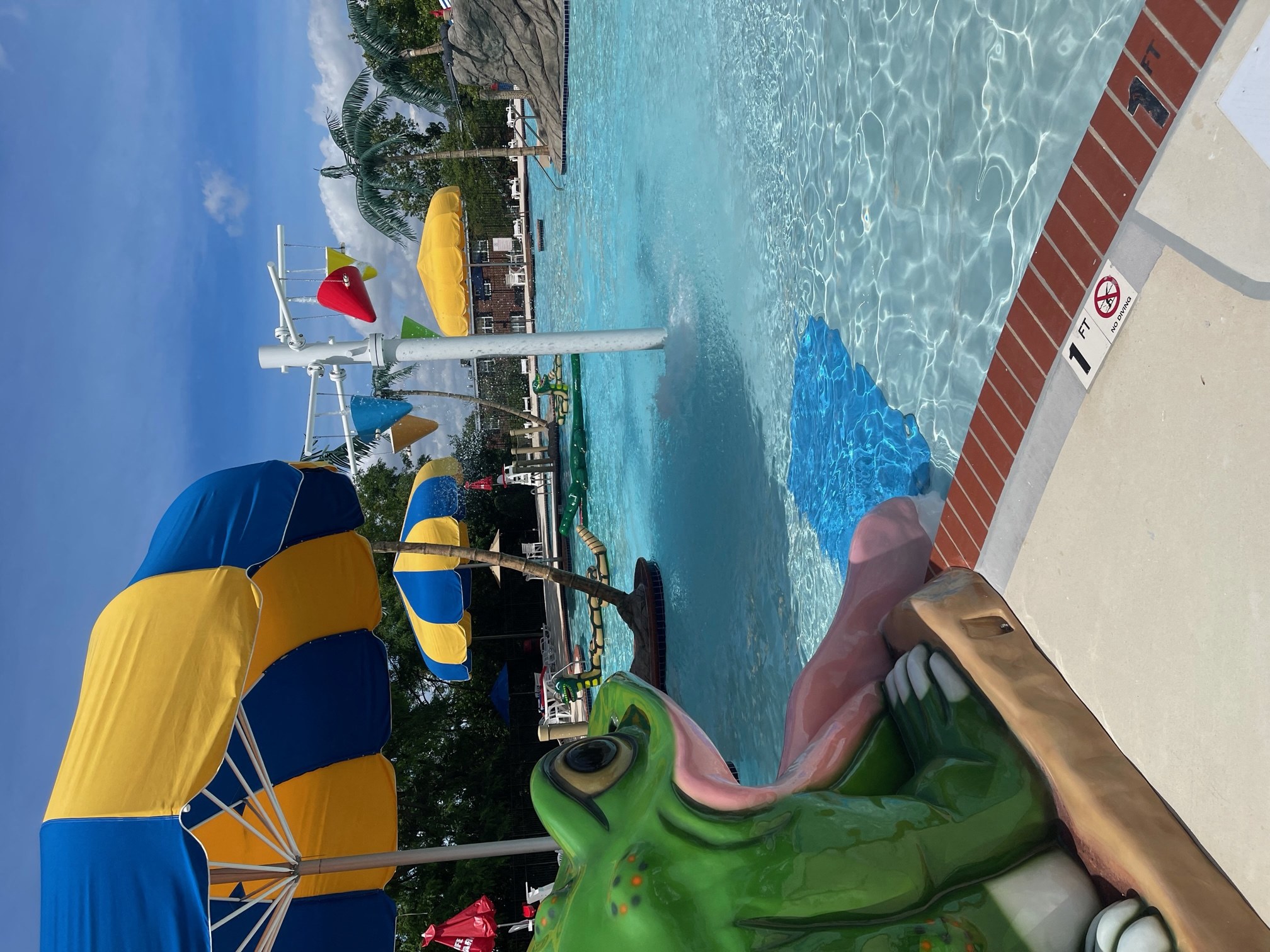a view of a pool from a water slide at a water park