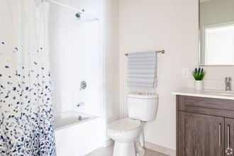 Elegant bathrooms with tub shower combination at Oriole Landing, Massachusetts, 01773