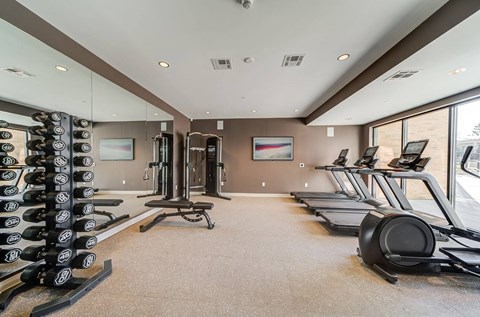A gym with treadmills, weights, and exercise equipment.