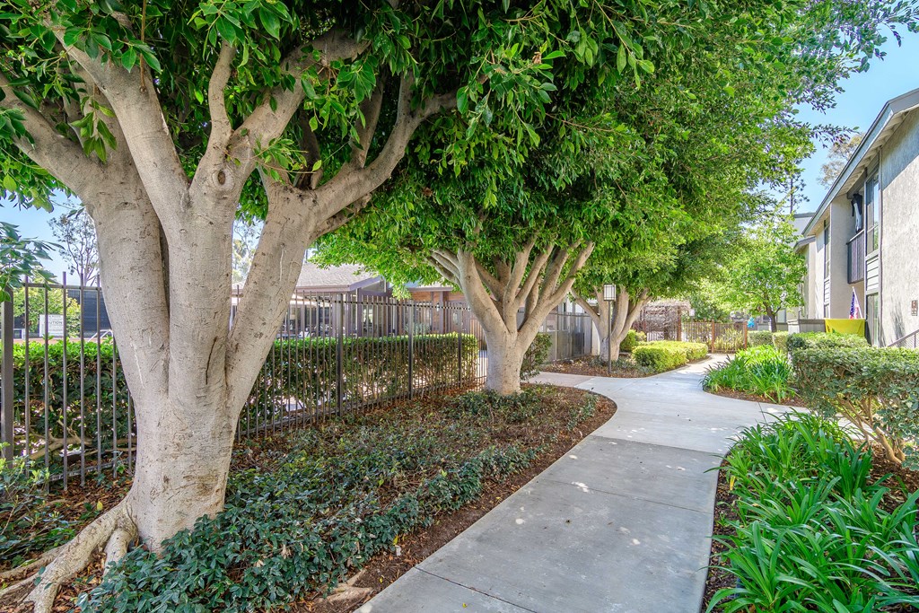 A tree-lined walkway in a residential area.