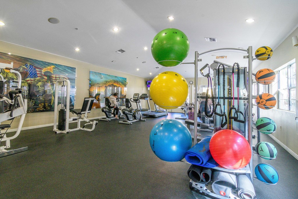 A gym with a variety of exercise equipment and colorful balls.