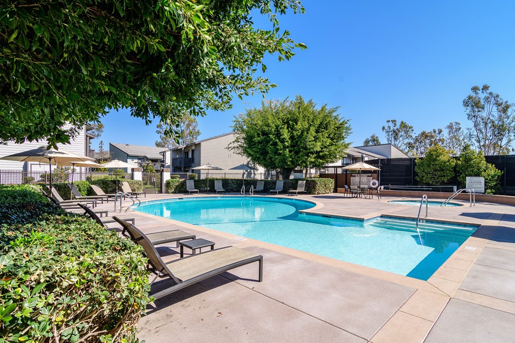 A pool surrounded by trees and bushes with a clear blue sky.