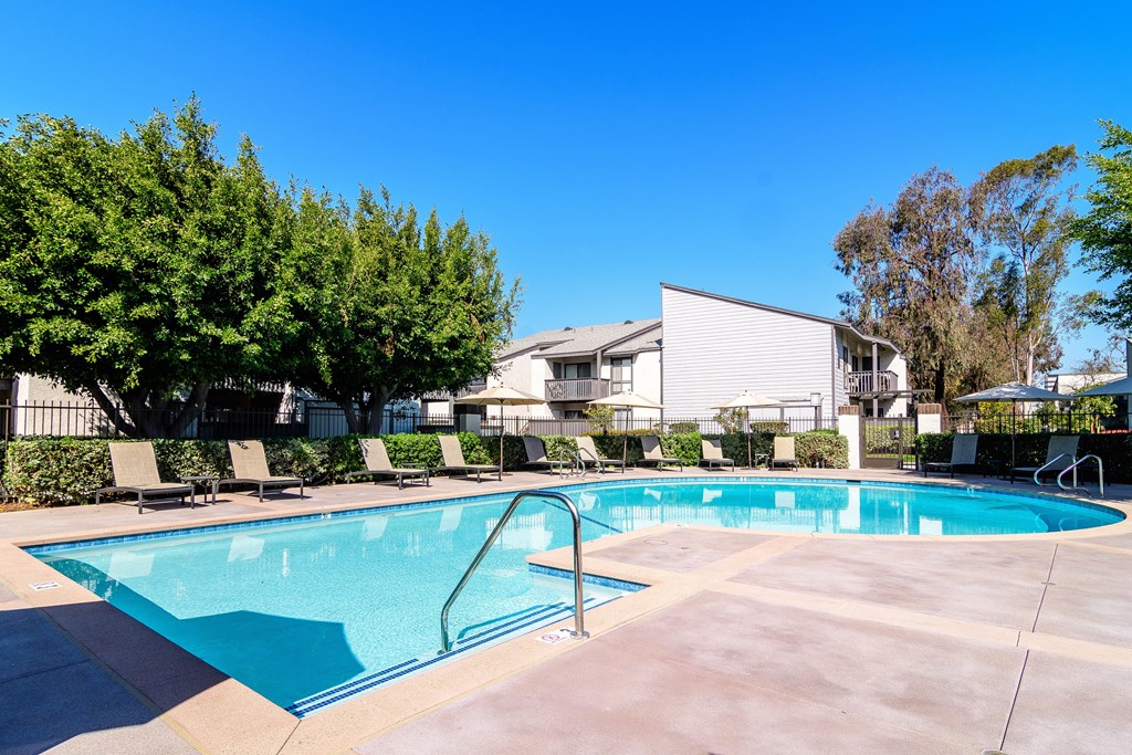 A swimming pool surrounded by trees and lounge chairs.