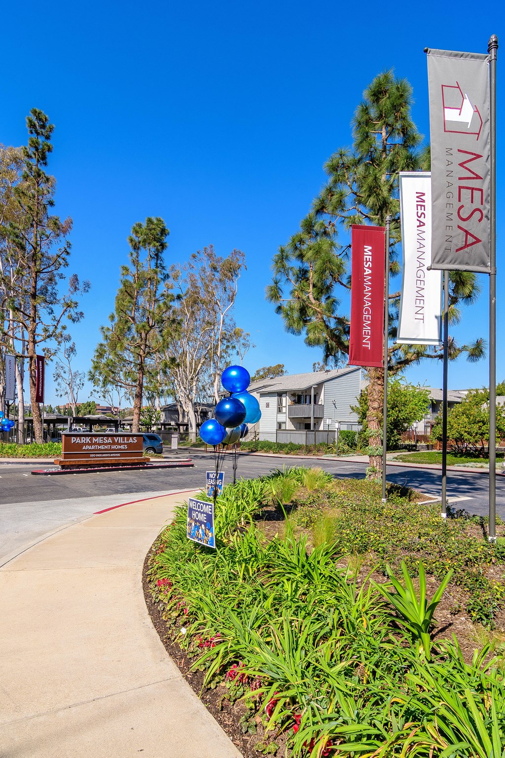 A Mesa Management sign is on a flagpole next to a sidewalk.