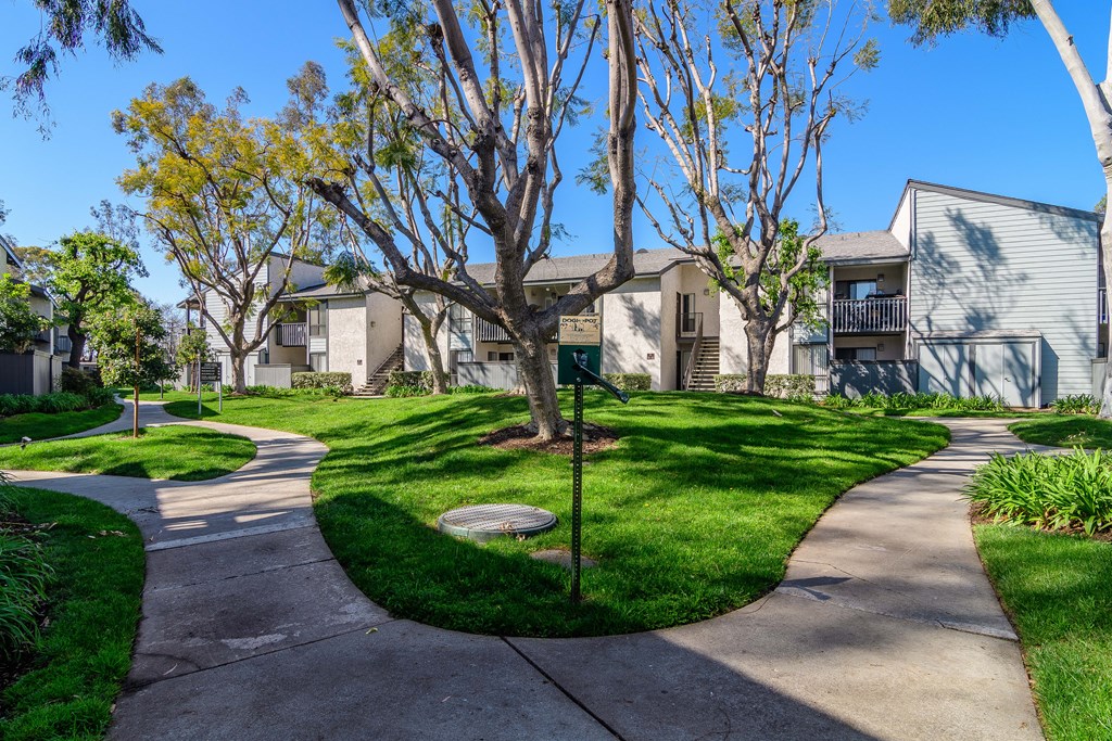 A tree with yellow leaves stands in front of apartment buildings.
