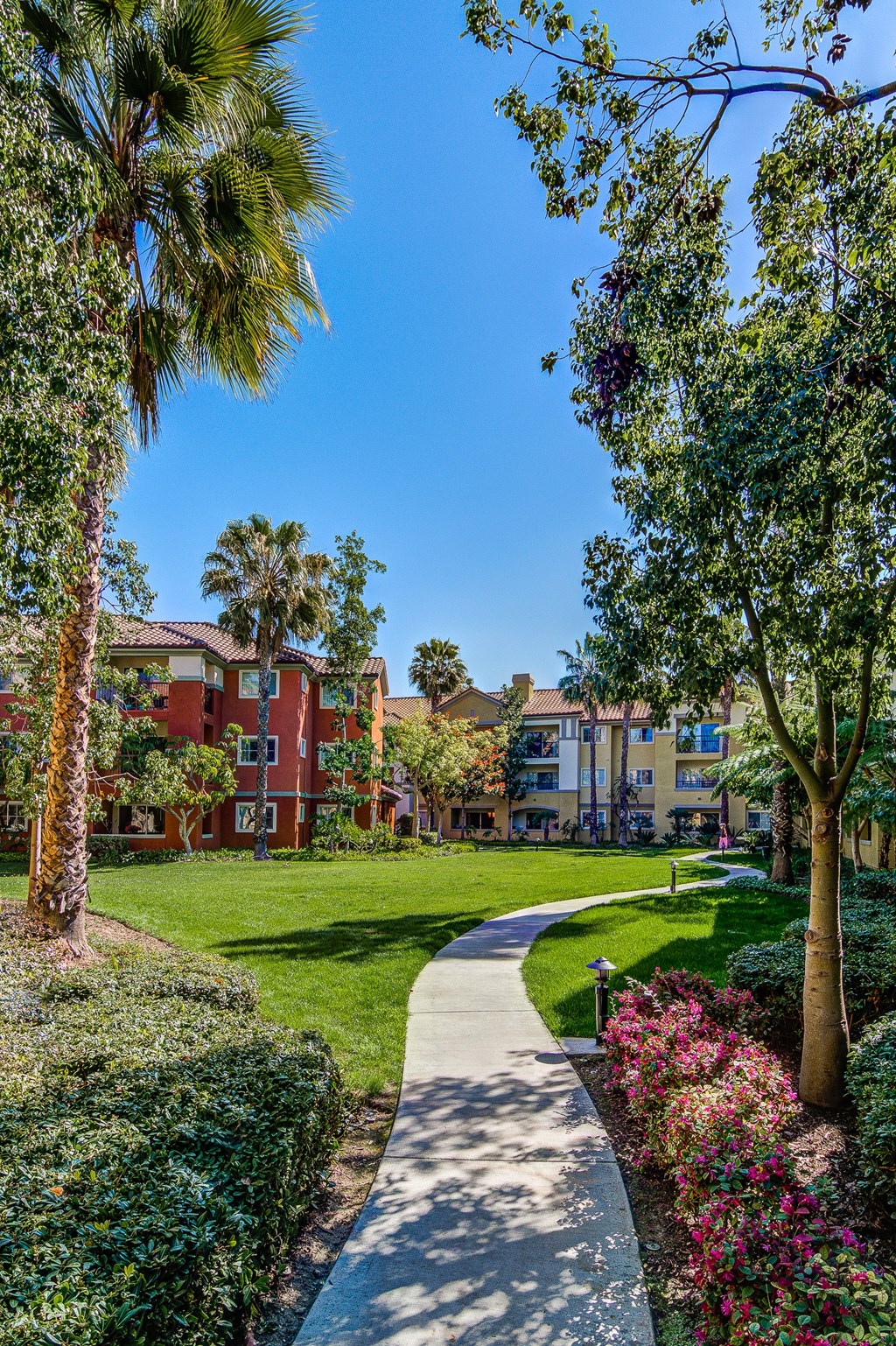 a path leading through a park with trees and grass
