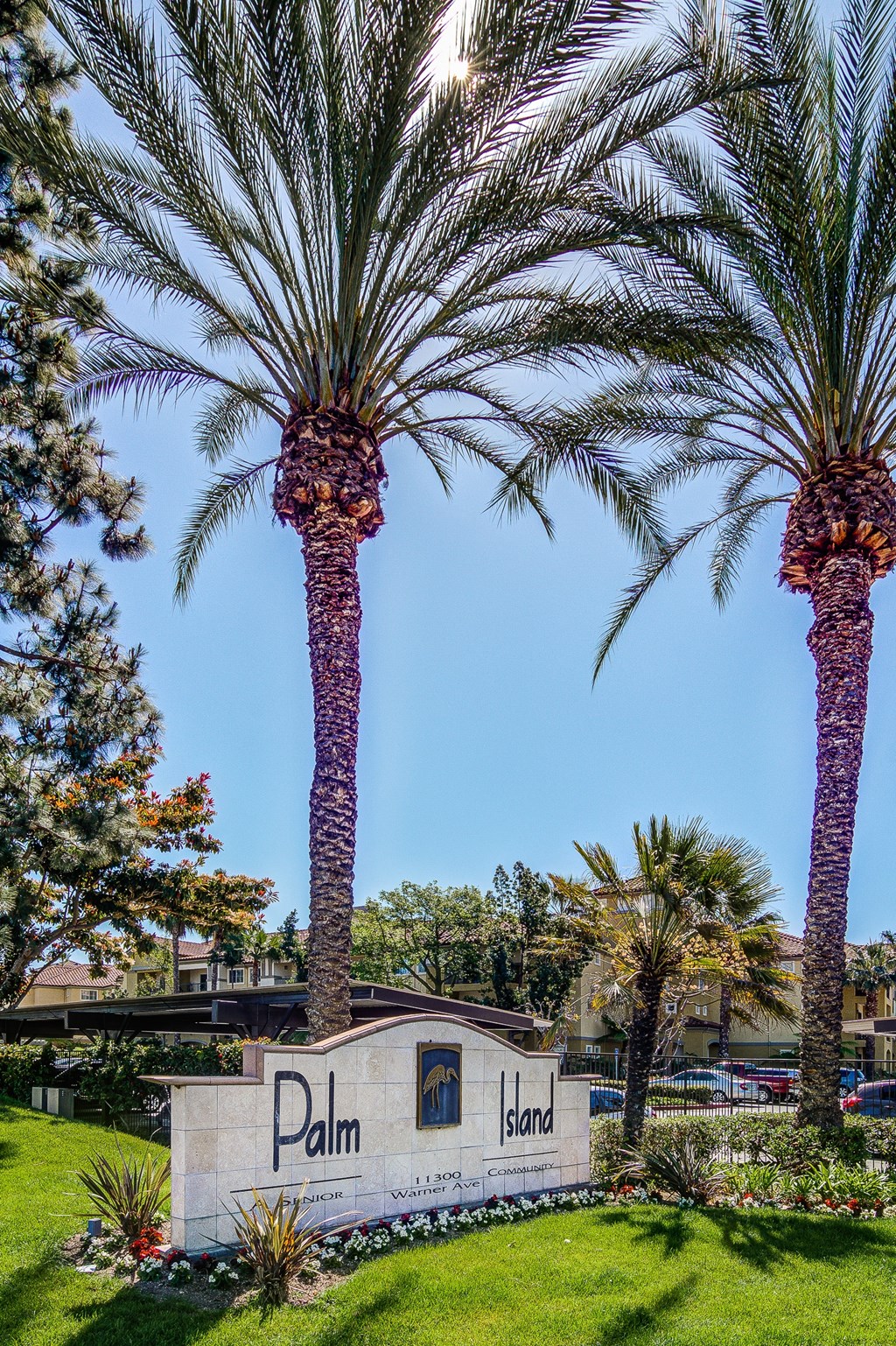 two palm trees in front of a palm island sign