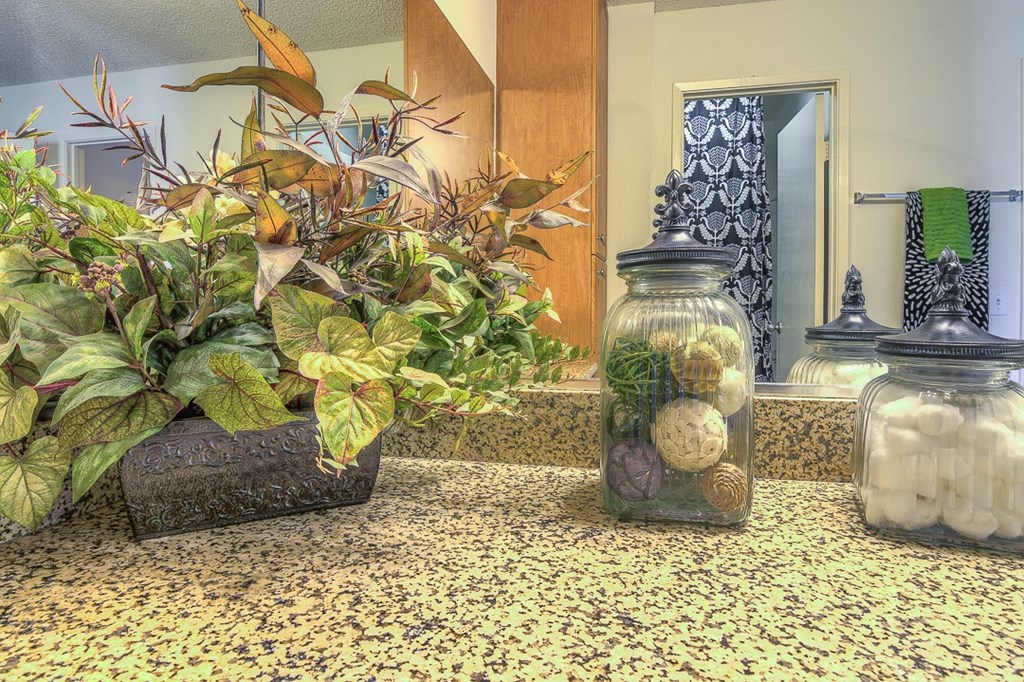 A plant in a pot sits on a countertop next to a jar with a plant in it.