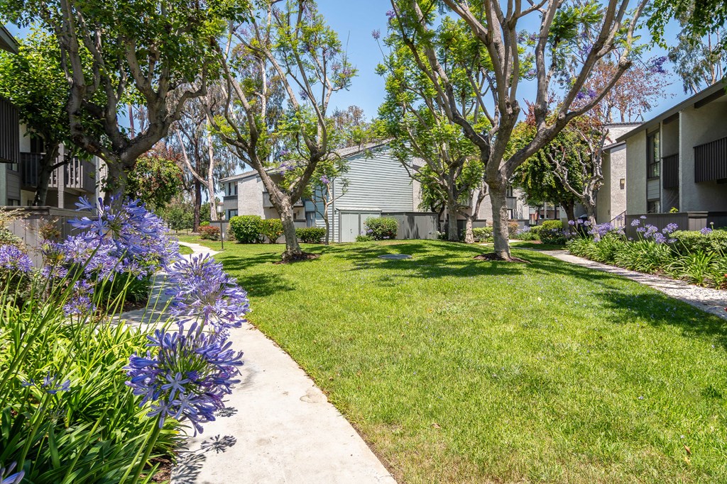 the preserve at ballantyne commons apartments patio and grass