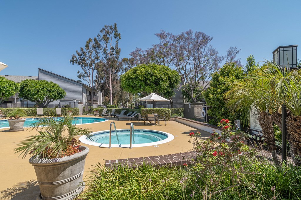 a backyard with a pool and some plants and trees