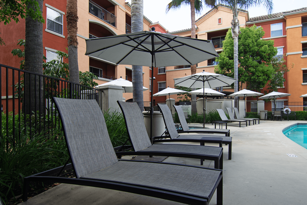 A row of lounge chairs are arranged in front of a pool.