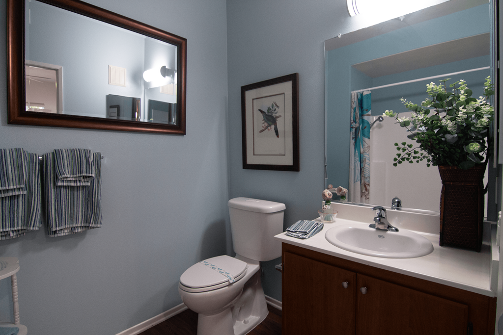A bathroom with a toilet, sink, mirror, and a plant.