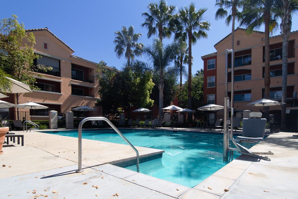 A pool surrounded by palm trees and umbrellas.