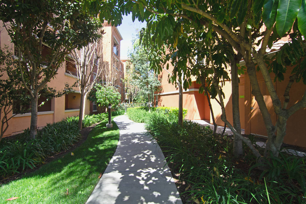 A pathway with trees and bushes on either side leading to a building.