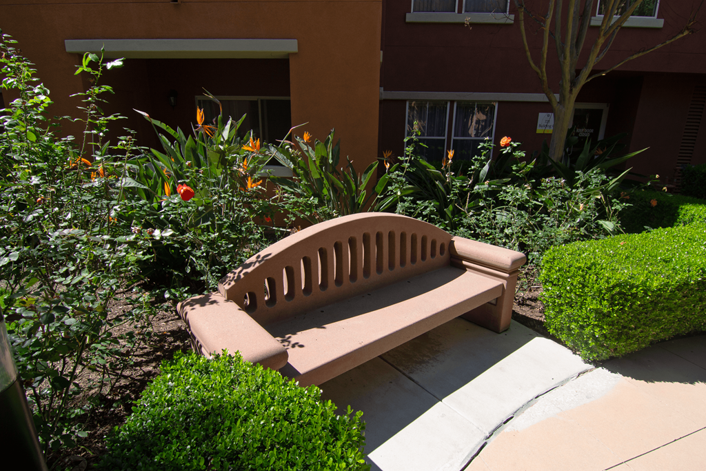 A bench sits in the middle of a garden.