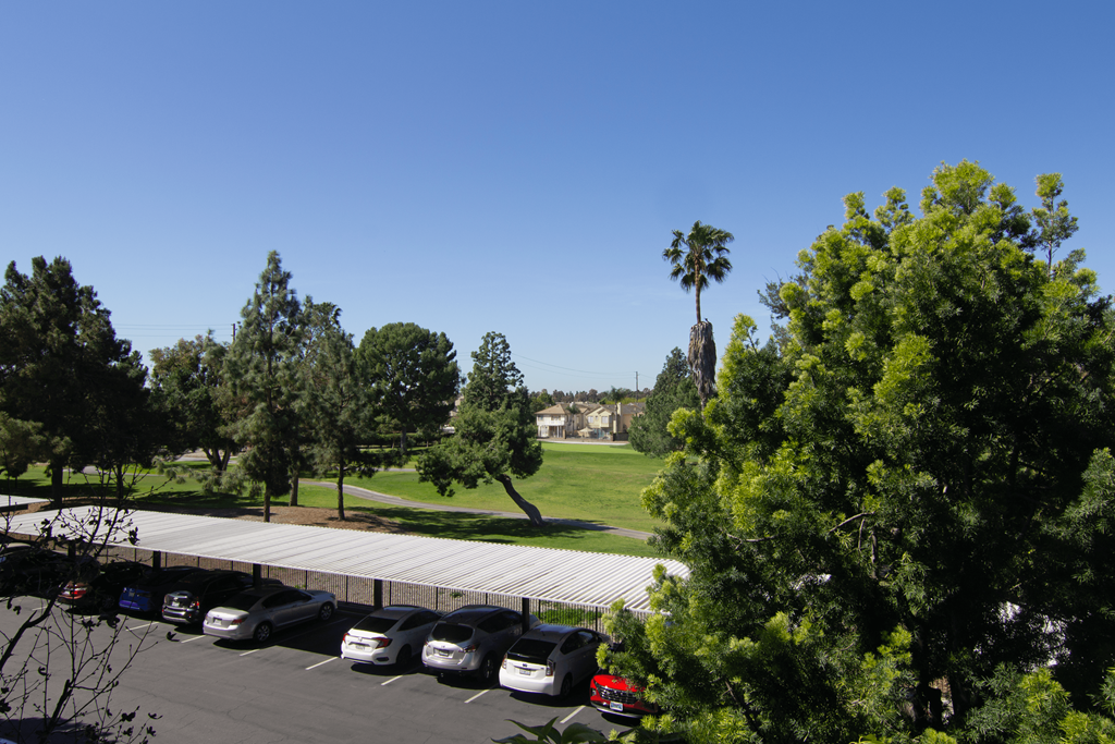 A parking lot with cars and trees.