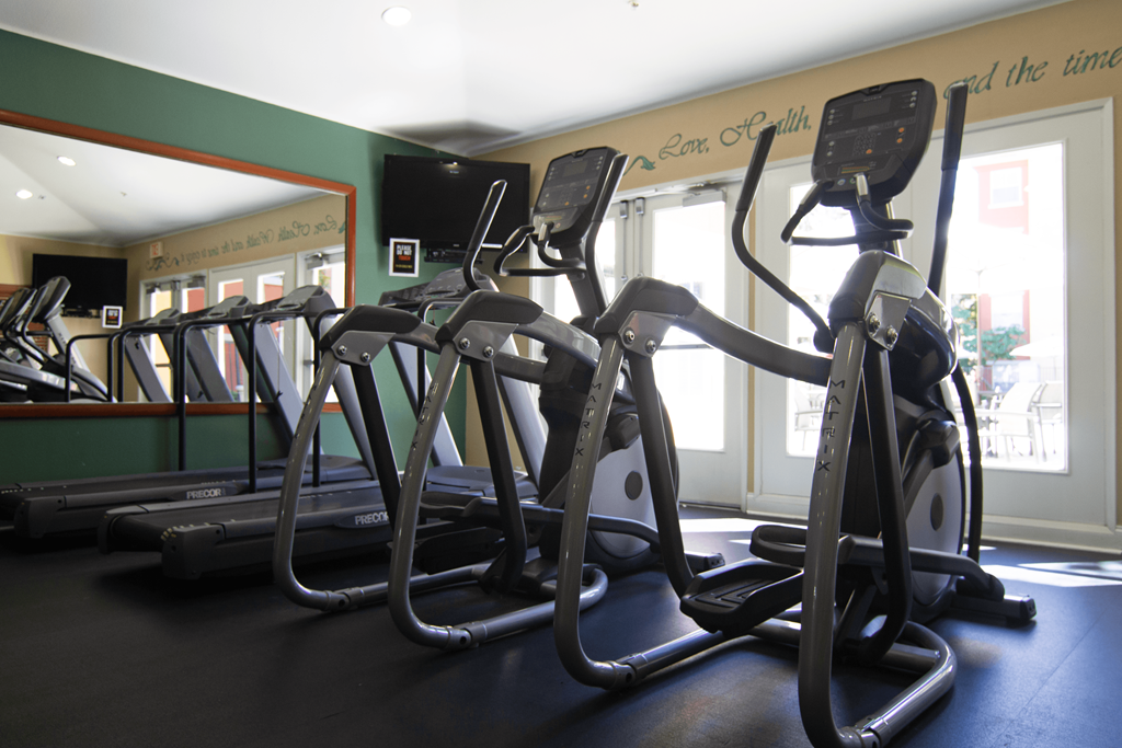A gym with treadmills and exercise bikes.