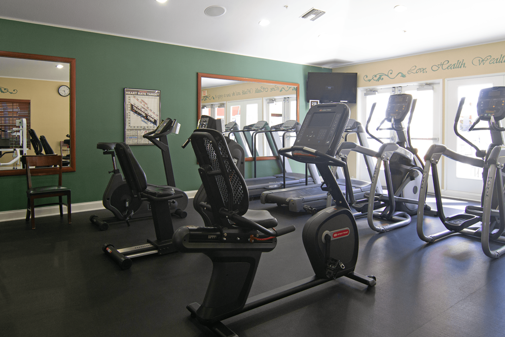 A gym with a green wall and a row of treadmills.