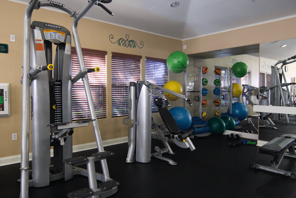 A gym with a variety of equipment including treadmills, weights, and exercise balls.