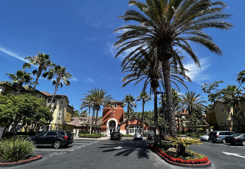 a street with palm trees in front of a building