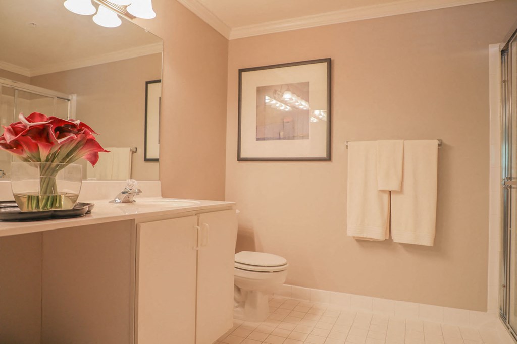 Cascades Overlook Apts.