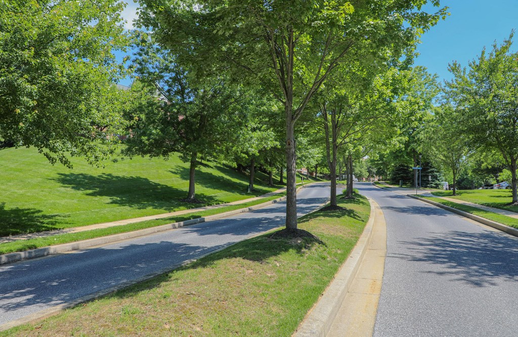 Cascades Overlook Apts.
