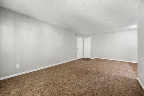 Faux Wood Flooring at Bradford Gwinnett Apartments and Townhomes, Norcross Georgia