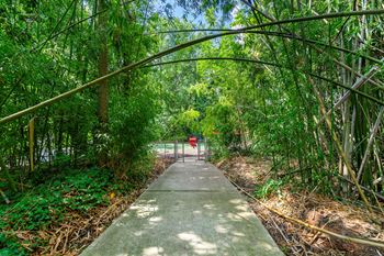 a walkway under a canopy of trees at Georgian Oaks Apartments Apartments, Georgia