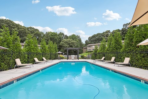 A swimming pool surrounded by trees and lounge chairs.