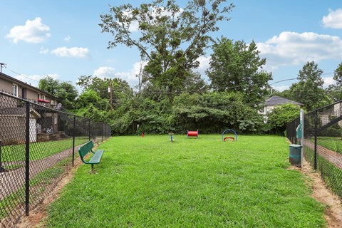 A green grassy area with a playground and a fence.