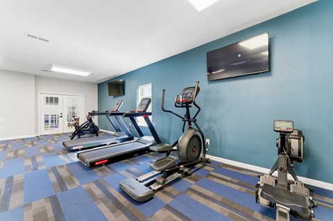 A gym with treadmills, exercise bikes, and other equipment.
