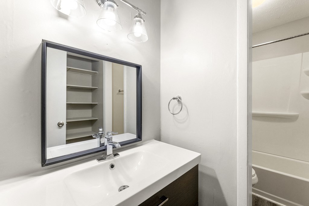 Luxurious Bathroom at Woodbriar Management, LLC, Tucker, GA, 30084