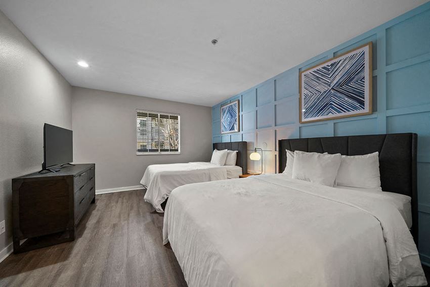The 505 Collection Apartments